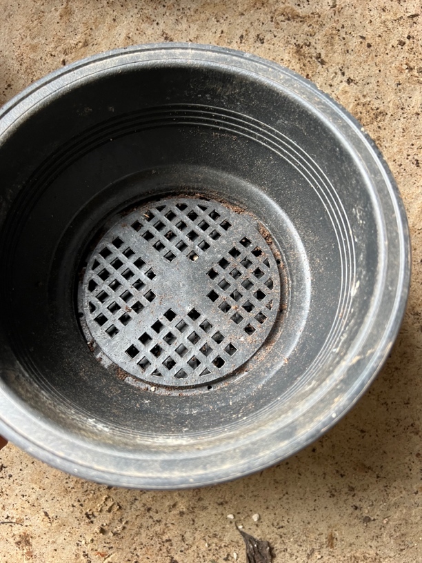 多肉旧花盆 黑色磨砂韩盆20厘米20个