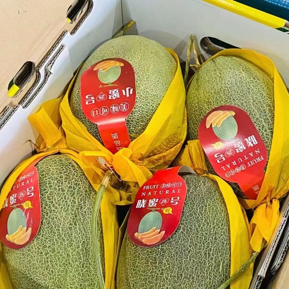晓蜜瓜1个