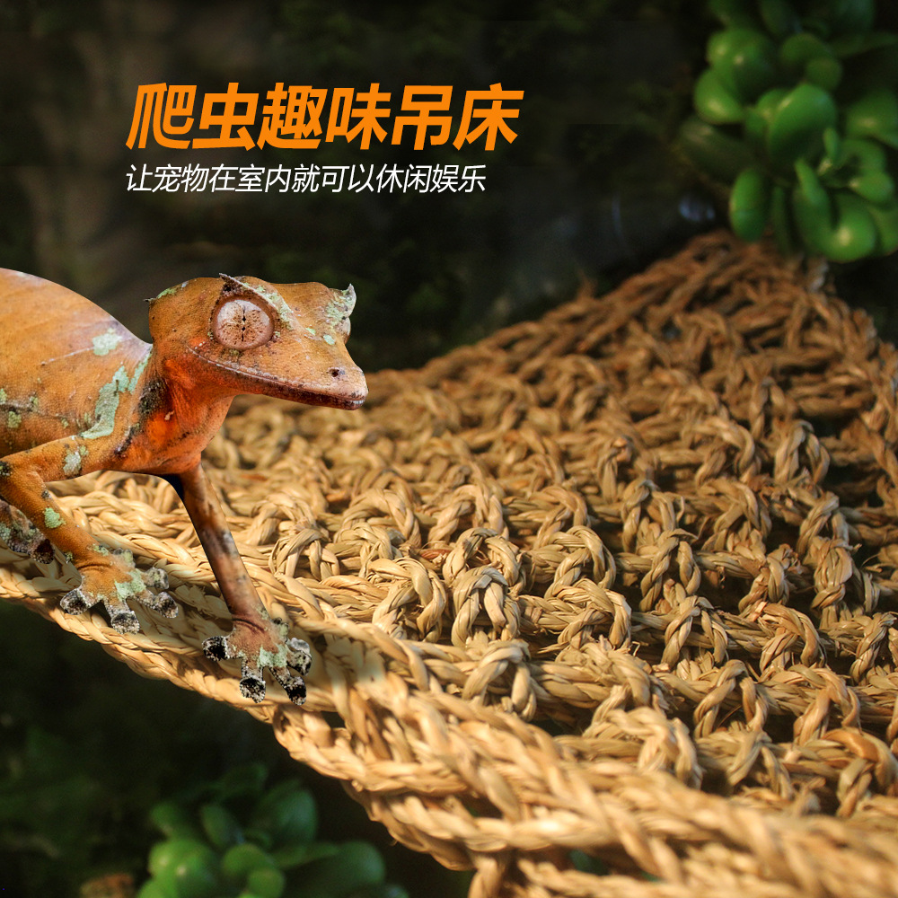 nomo诺摩爬宠吊床绿鬣爬虫蜥蜴三角海草吊床吸盘玻璃缸箱体雨林缸