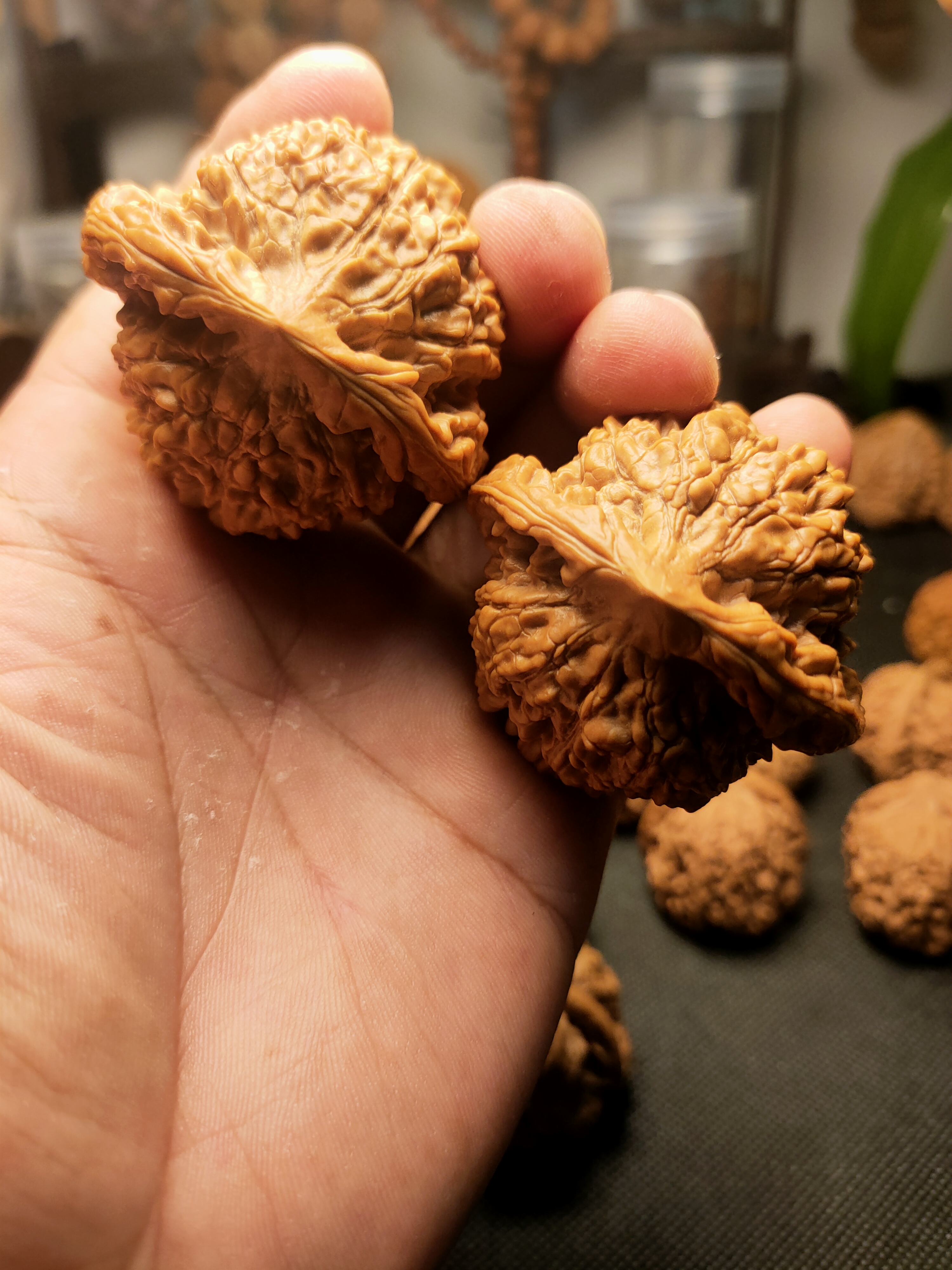 大官帽王勇边50+