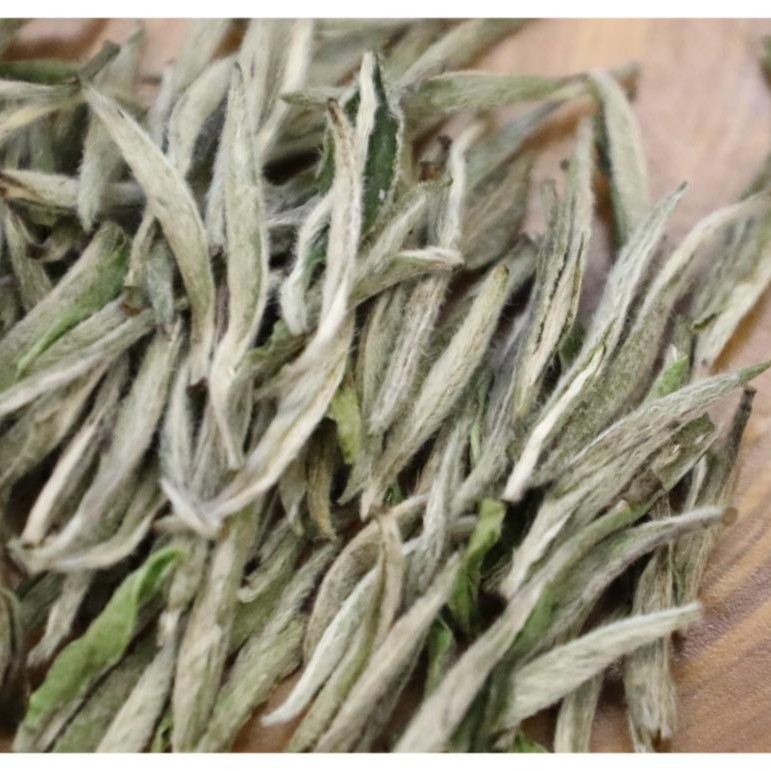 CAOMUTANG  Tea storehouse/草木堂茶仓福鼎大洋山老树银针2022年