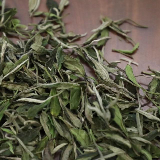 CAOMUTANG  Tea storehouse/草木堂茶仓福鼎一级牡丹2022年春散茶