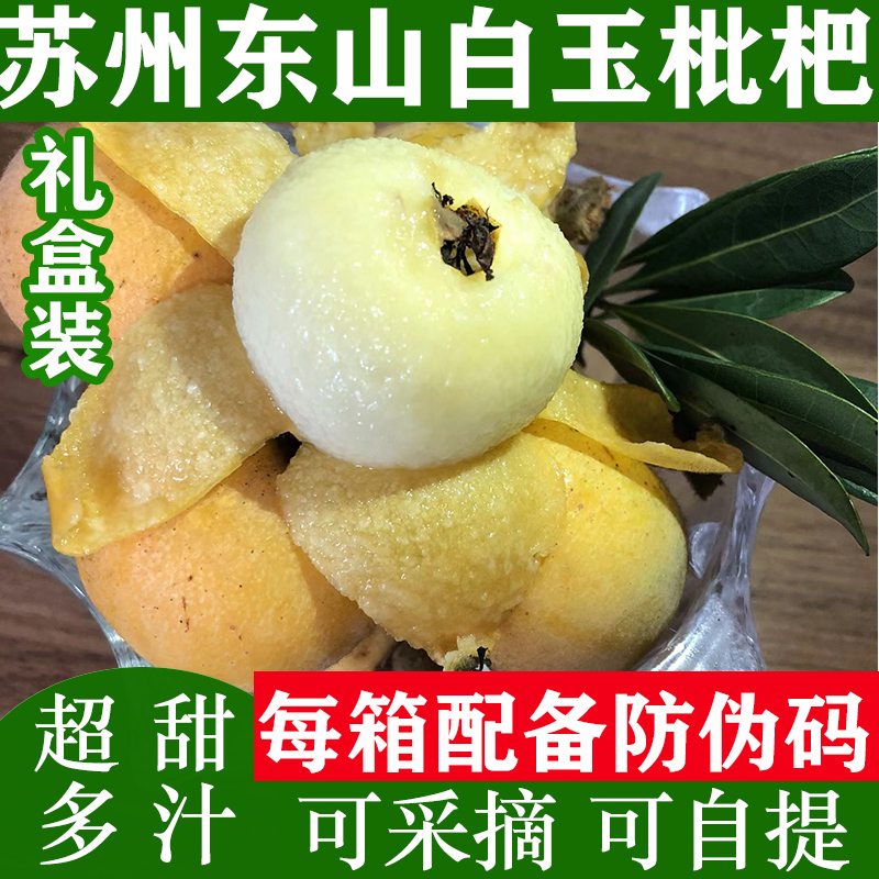 （炮头特大白玉）苏州东山白玉白沙枇杷果装新鲜水果枇杷果