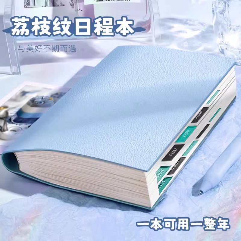 荔枝纹柔皮2025年日程本计划表时间管理手册每日计划本打卡本B5A4