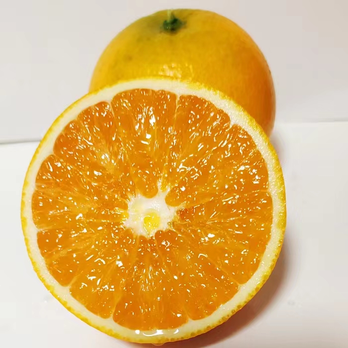 湖北秭归九月红果冻橙爆汁橙现摘现发新鲜细腻5斤/9斤