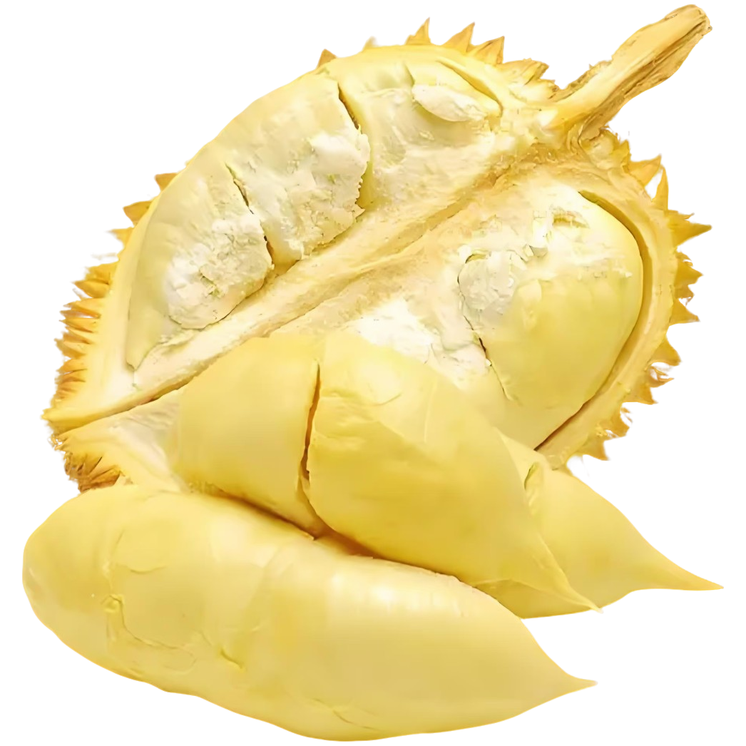 Q2【开果】金枕鲜果榴莲（小时达）