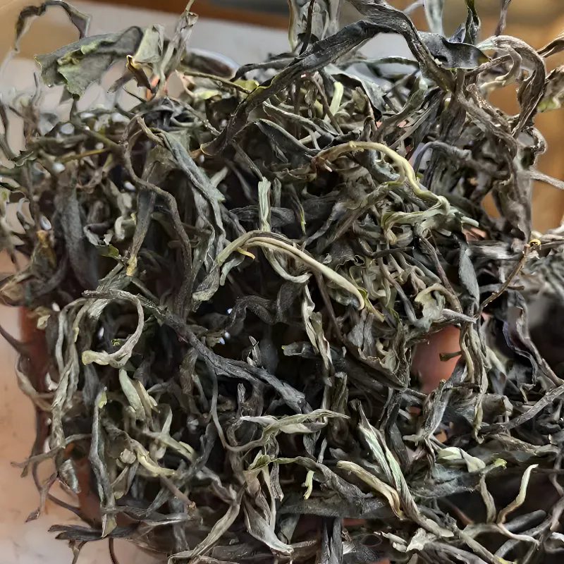 2024年[帕拍]古树普洱生茶