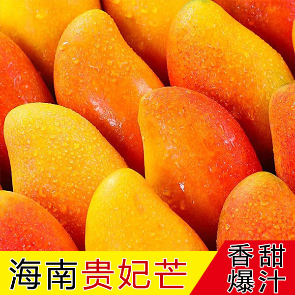 海南三亚贵妃芒树上自然熟果园现摘现发无添加贵妃芒5斤整箱包邮