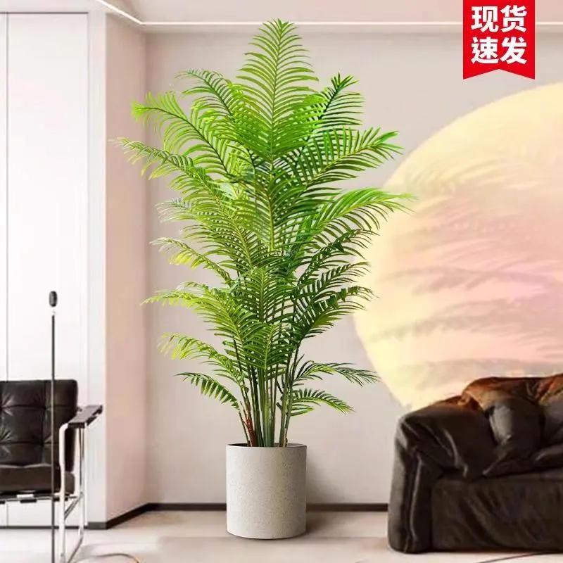 X【新疆】小扬哥散尾葵绿植客厅仿生摆件大型室内北欧落地