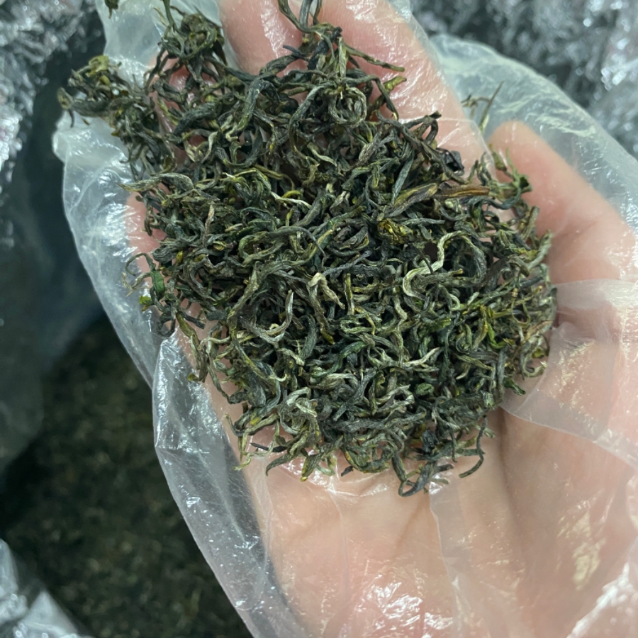 2025新茶头采遂川狗牯脑茶绿茶明前柴火灶手炒茶高山汤湖产地直发