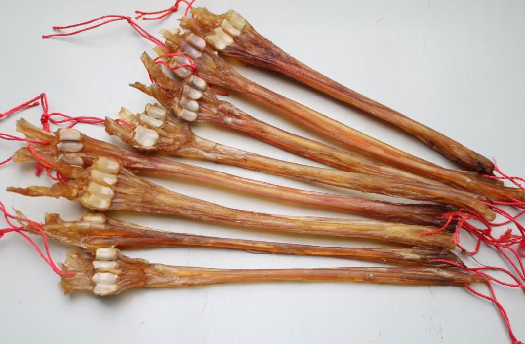 梅花鹿鹿筋泡酒原材料