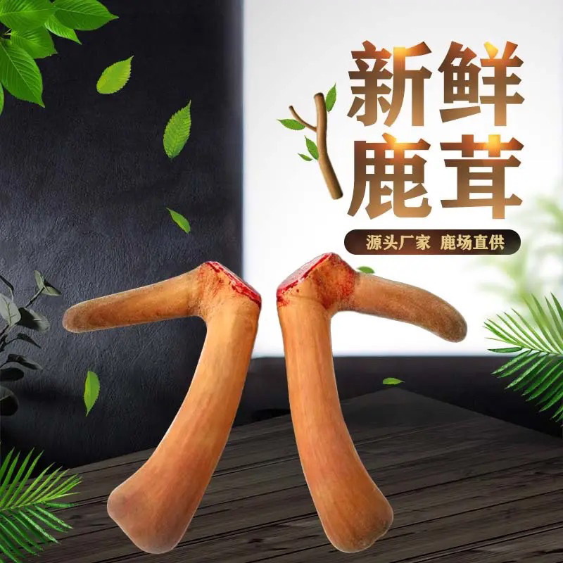 长白山梅花鹿鲜鹿茸营养滋补泡酒煲汤鲜茸链接