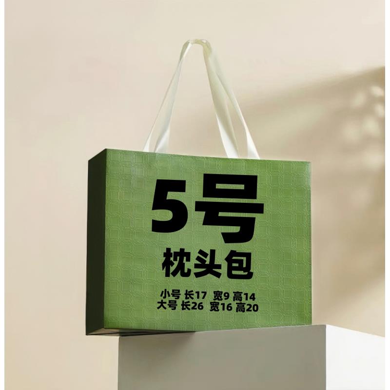 【5号】TT 2023网红时尚百搭休闲枕头包6556