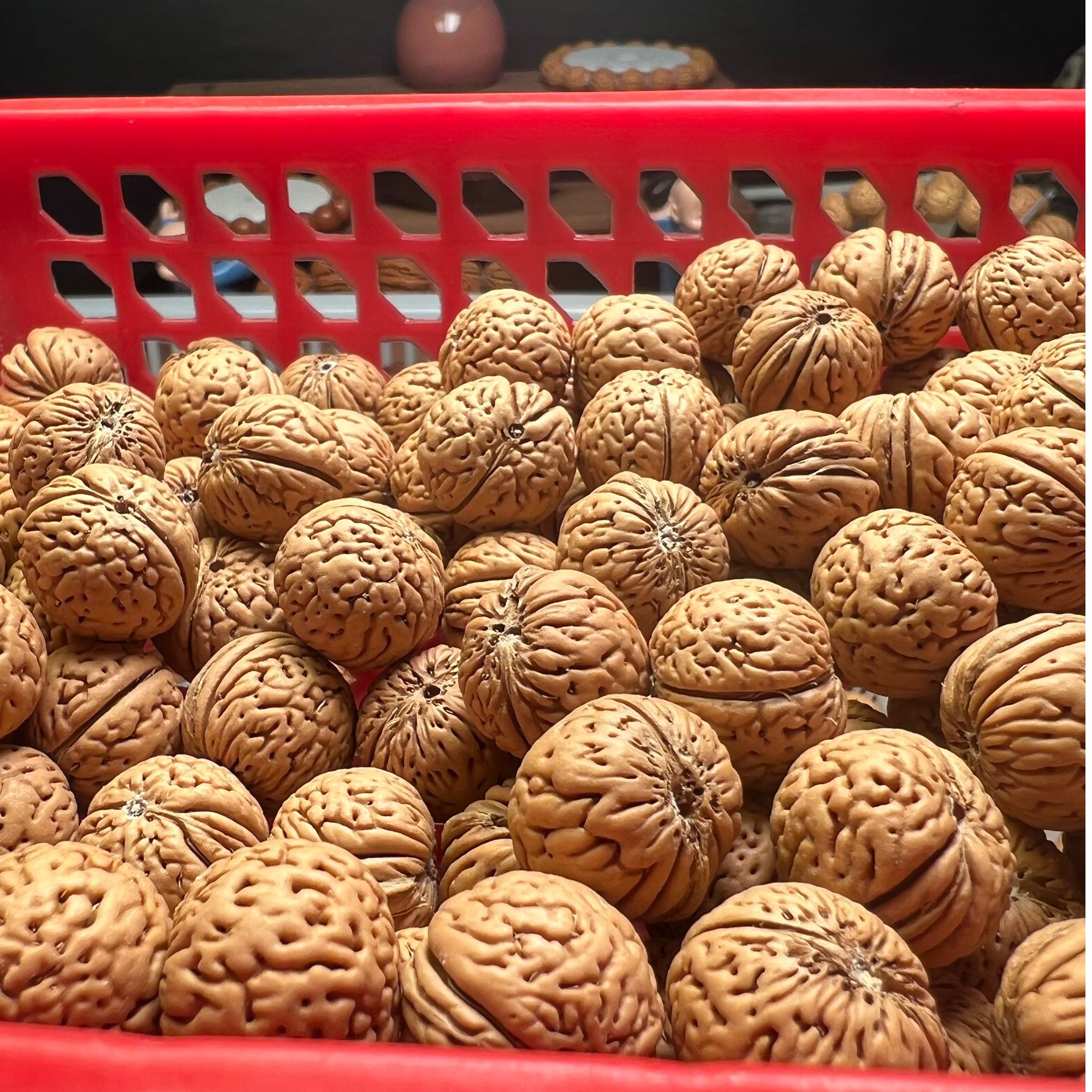 野生桃核苹果园磨盘金豆蚂蚁纹肌肉纹桃核