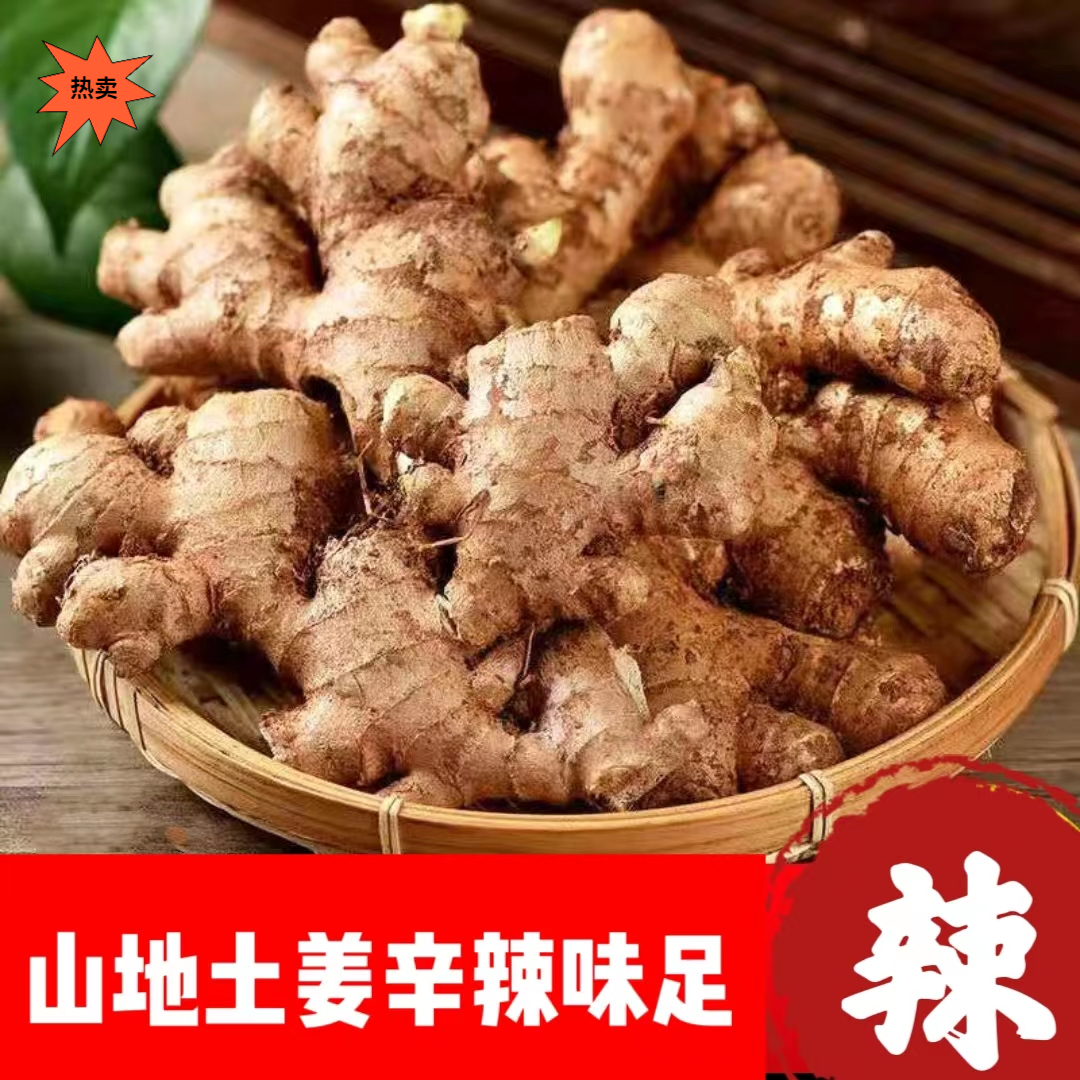 【坏果包赔】云南老姜高山土姜月子姜汁姜粉特产辣云南小黄姜1-9