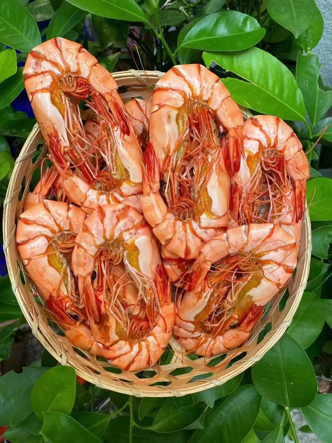 速鲜汇本港大九节虾干