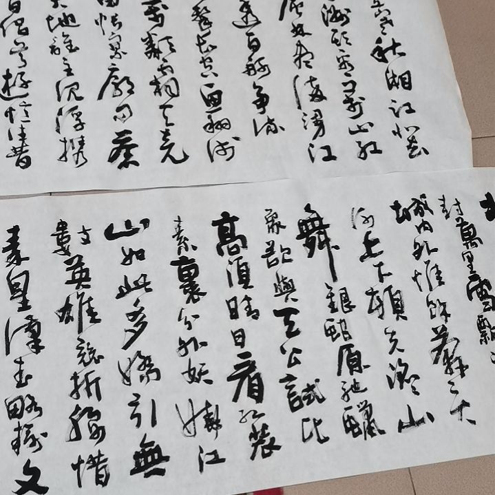 【闪购商品】书法梦**真