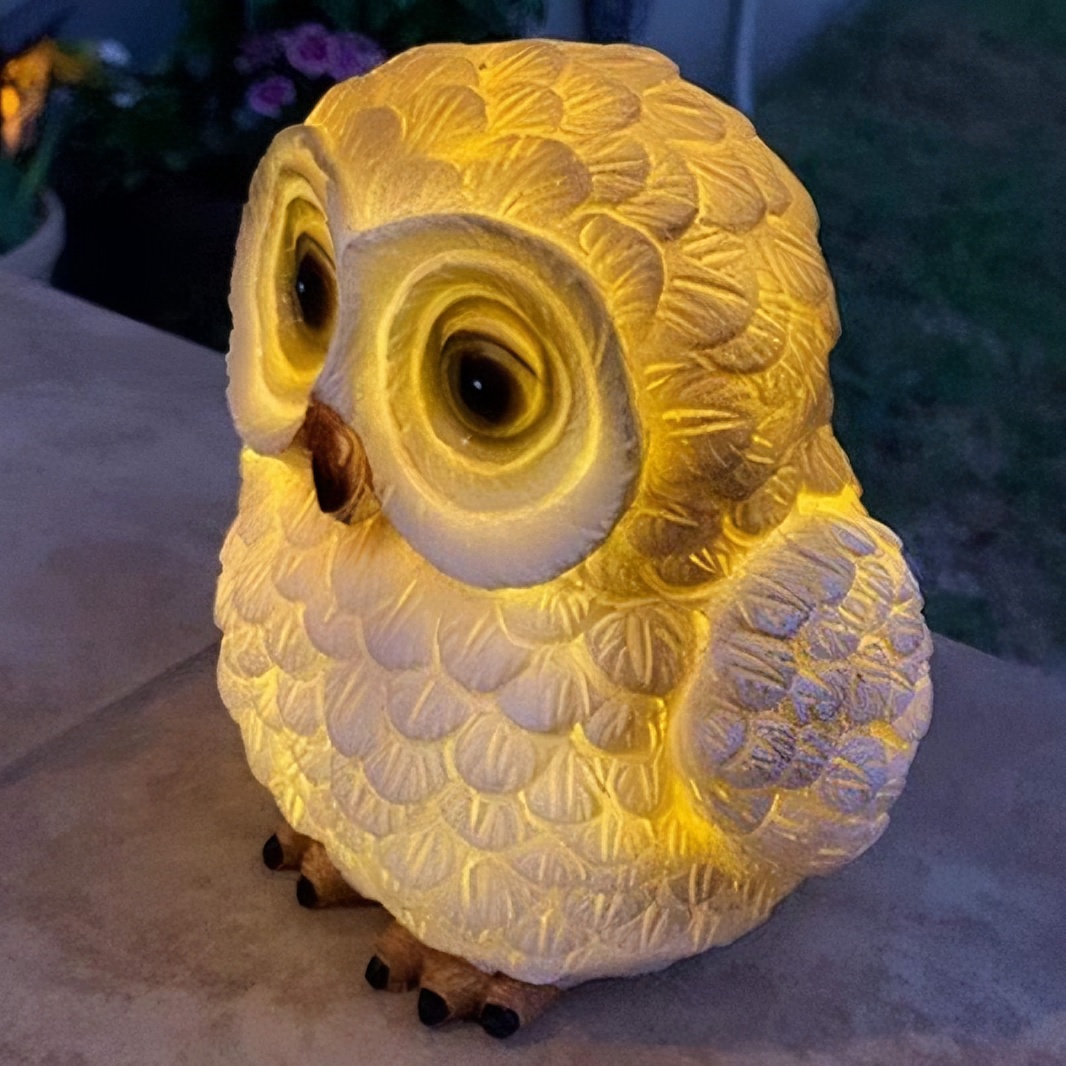 准新品  抖音直播猫头鹰补差价专用