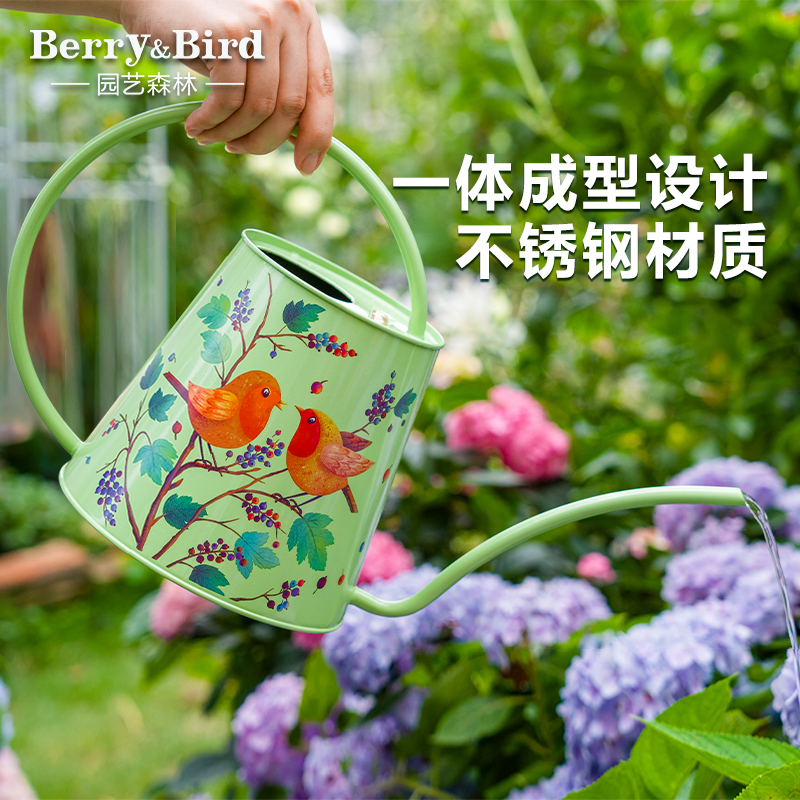 Berry&Bird长嘴浇花水壶家用花卉盆栽多肉洒水壶高颜值园艺摆件2L
