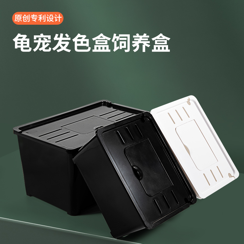 乌龟发色盒活体剃刀西非果核红面窄桥龟饲养盒龟苗发色隔离孵化盒