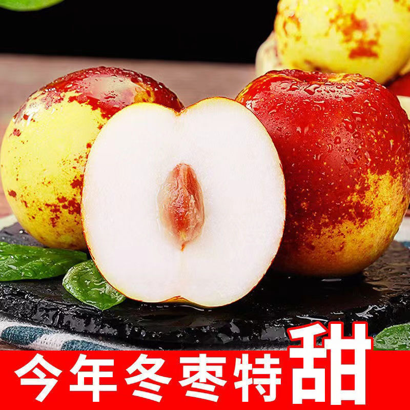 5斤 沾化冬枣 中大果混合
