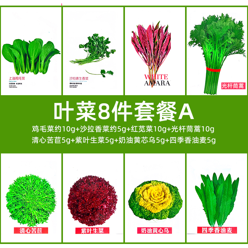 【青菜八件套种子组合】青菜组合小葱芹菜四季盆栽蔬菜种子