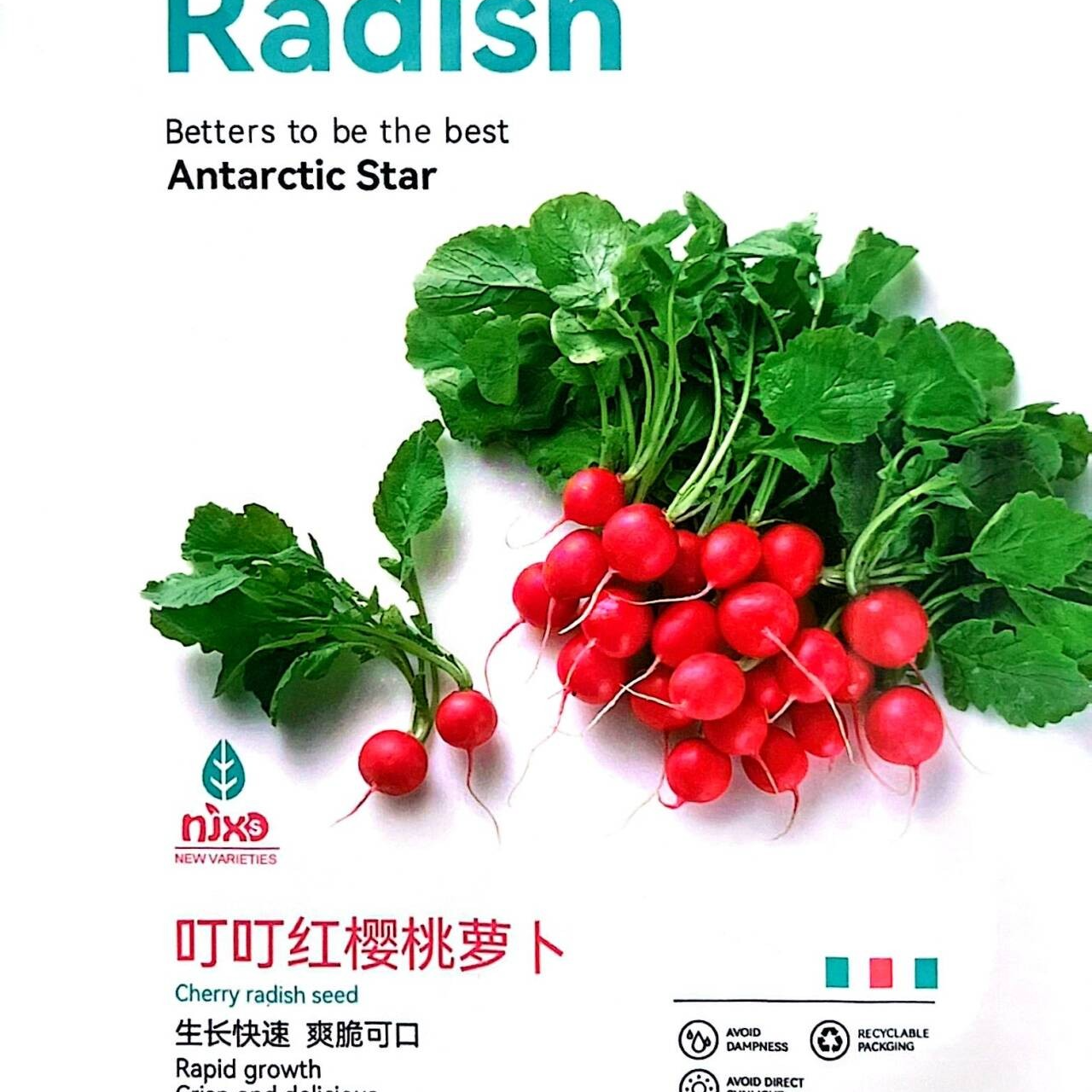 叮叮红樱桃萝卜种子水果罗卜籽种高产阳台四季盆栽菜种孑红菜籽子