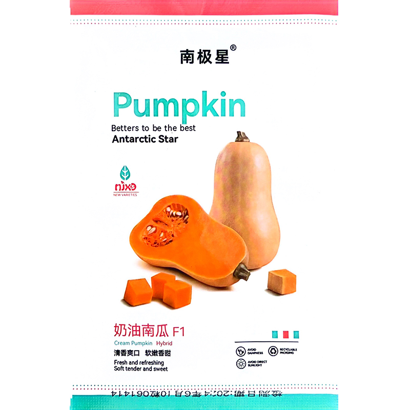 奶油南瓜种子清香爽口甜面糯奶油南瓜春夏秋蔬菜种植粉糯香甜