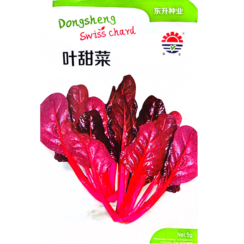 红叶甜菜种子叶用黄甜菜种子红叶牛皮菜红梗黄梗甜菜种子叶用甜菜