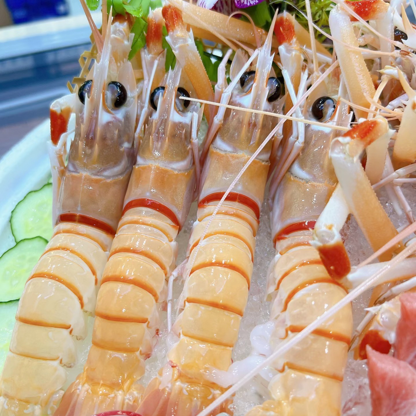 新西兰鳌虾【刺身中的爱马仕】