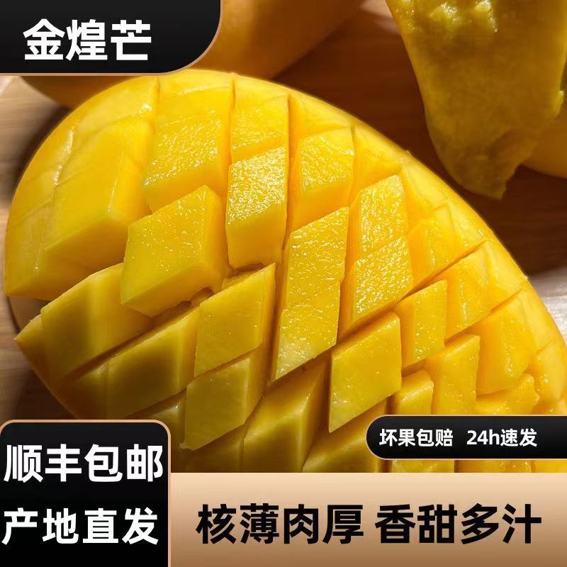 【热卖推荐】海南三亚精品当季金煌芒树熟采摘产地直发新鲜核薄!