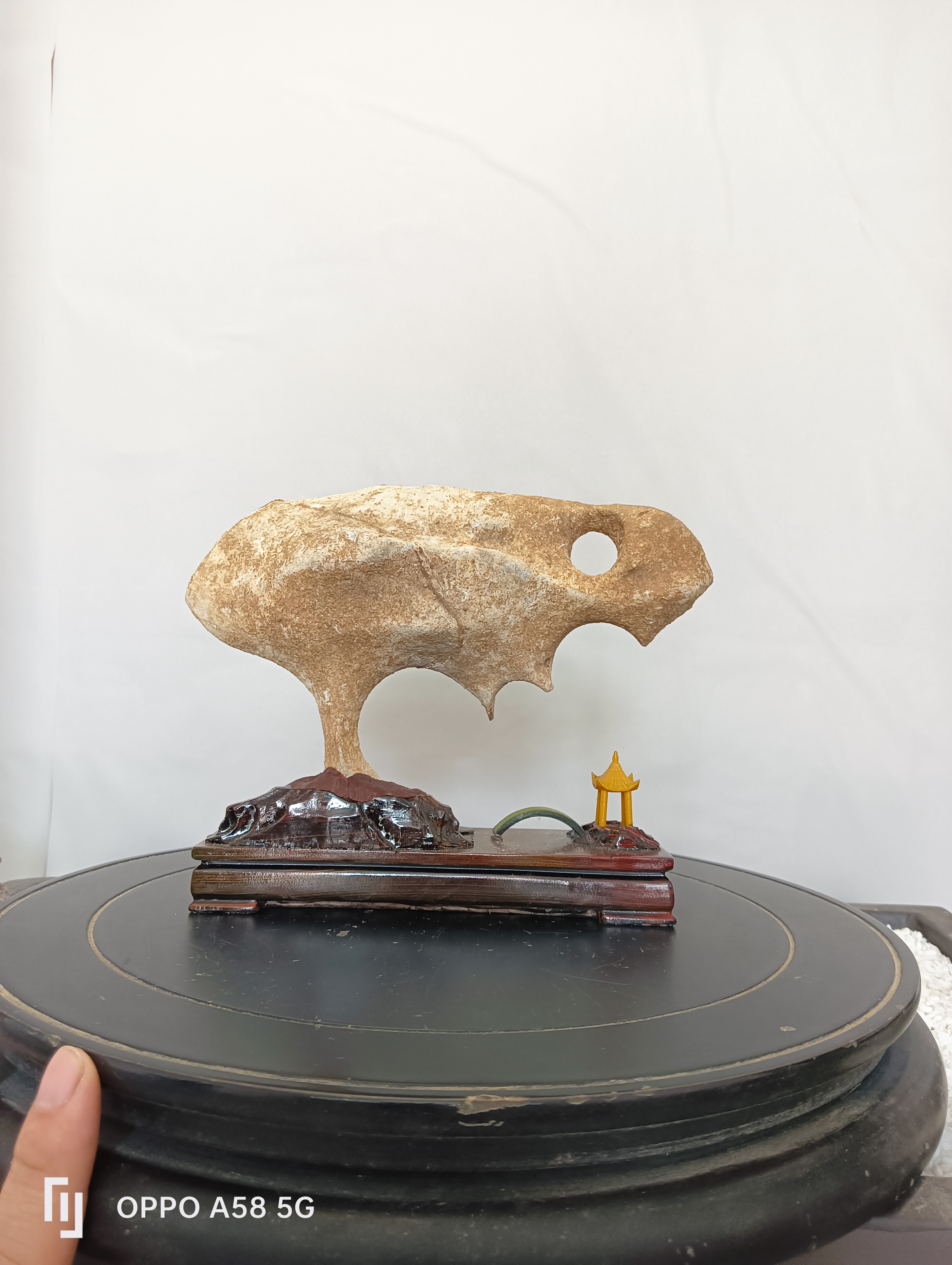 大自然的鬼斧神工，造就了各种奇形怪状的，精美原石异形