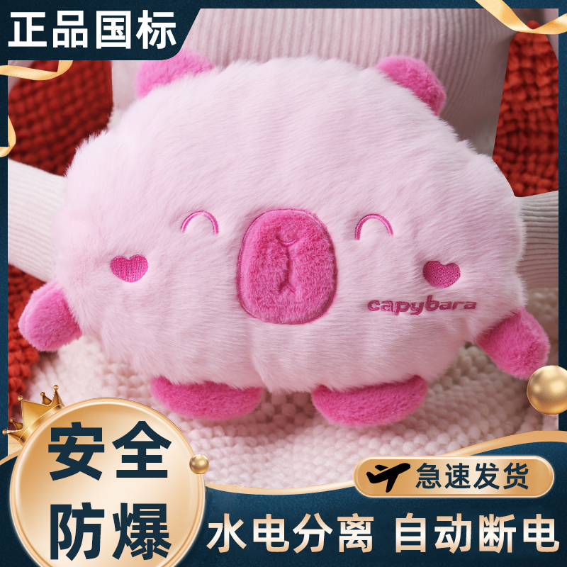 充电式热水袋防爆暖水袋毛绒可爱暖手宝注水暖肚子手可拆洗暖被窝