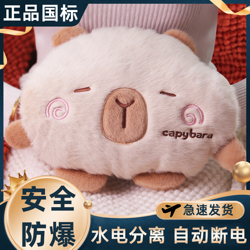 充电式热水袋防爆暖水袋可拆洗被窝专用注水式毛绒可爱暖宫暖手宝