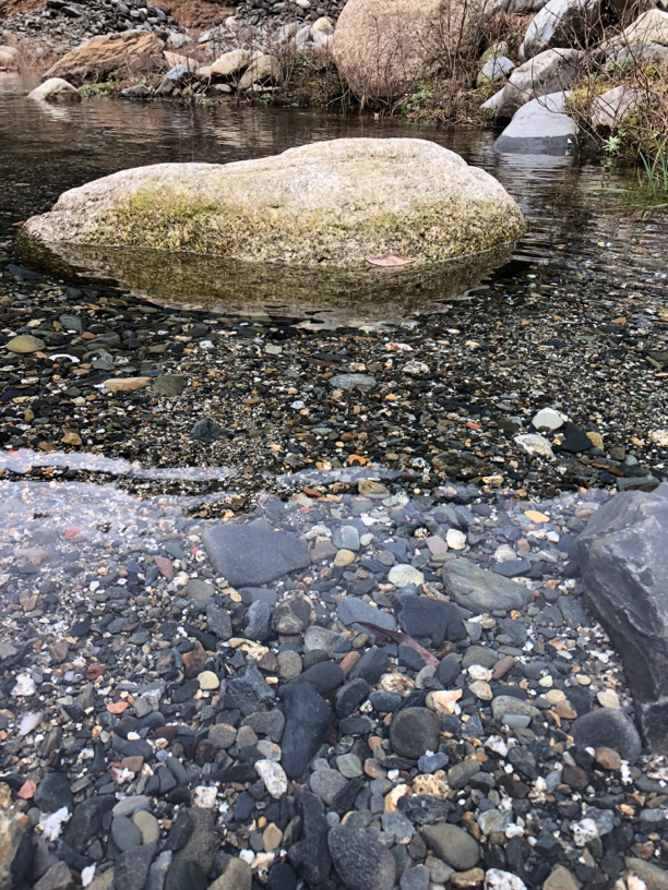 溪流缸专用原生溪流底沙5斤起大小颗粒随机发