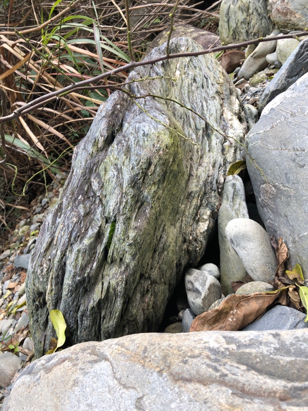 溪流缸造景溪流原生岩石