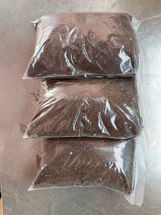 仙人球 多肉 专用4包