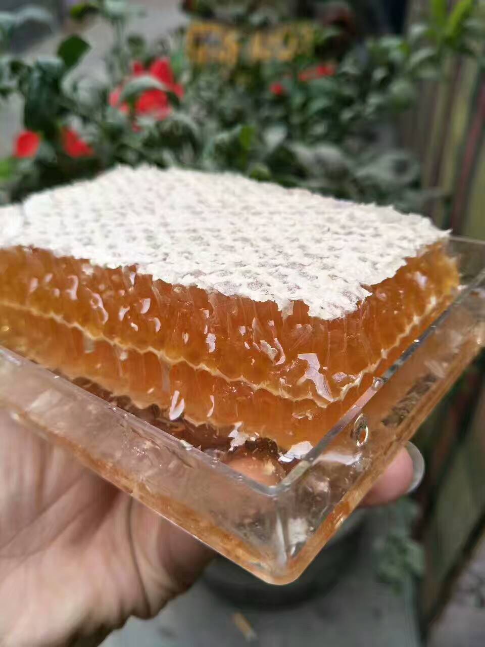 蜂巢蜜三盒/三斤（封盖成熟蜜）挖着吃过瘾