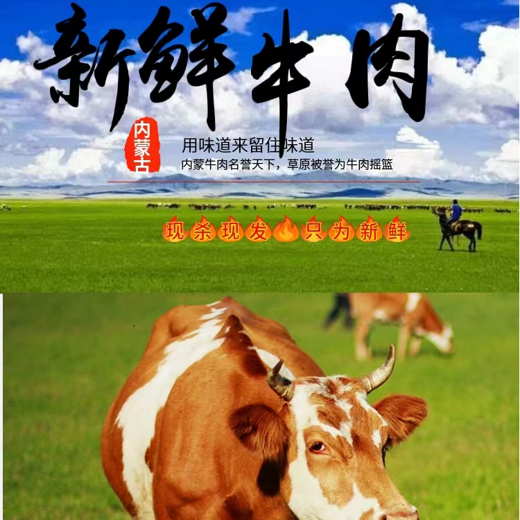 内蒙古散养土牛肉冷冻鲜嫩原切有机生牛肉黄膘
