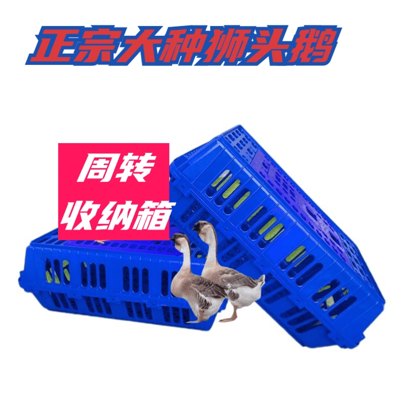【大种鹅苗】专用周转收纳箱PVC材质