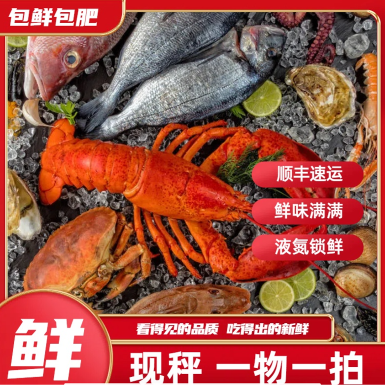 【直播间现场称重 】海鲜组合直播为准