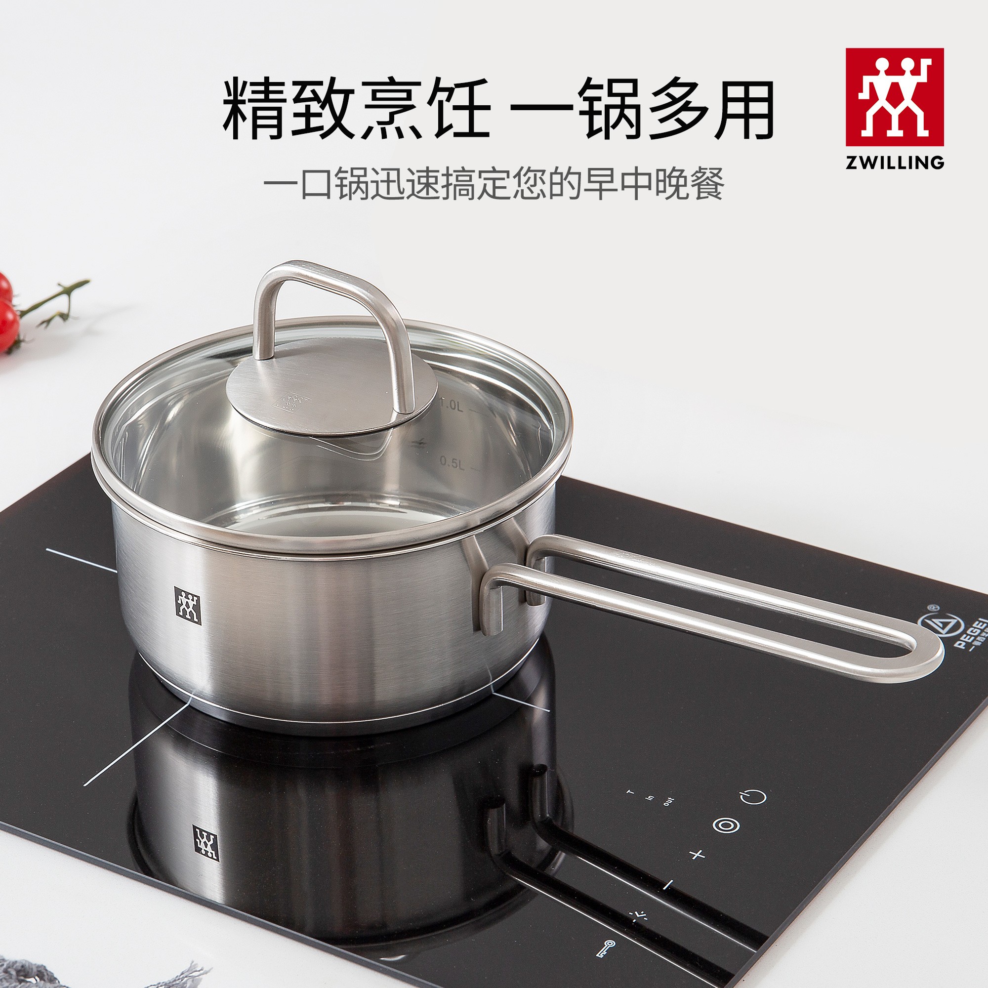 【明月专属】双立人 Twin Nova Plus 16cm奶锅不锈钢精致小巧 A