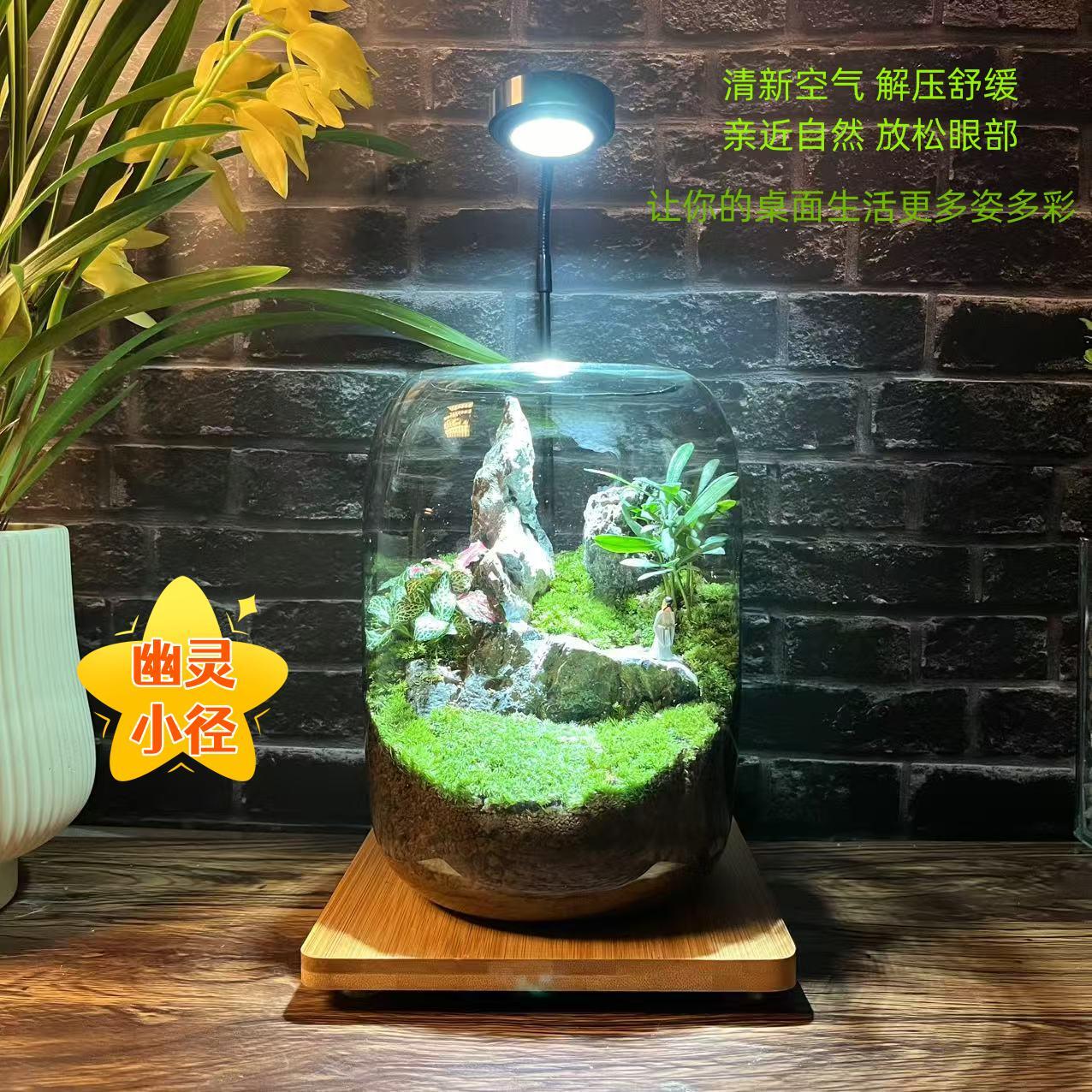 禅意苔藓微景观流水摆件室内桌面艺术设计生态瓶