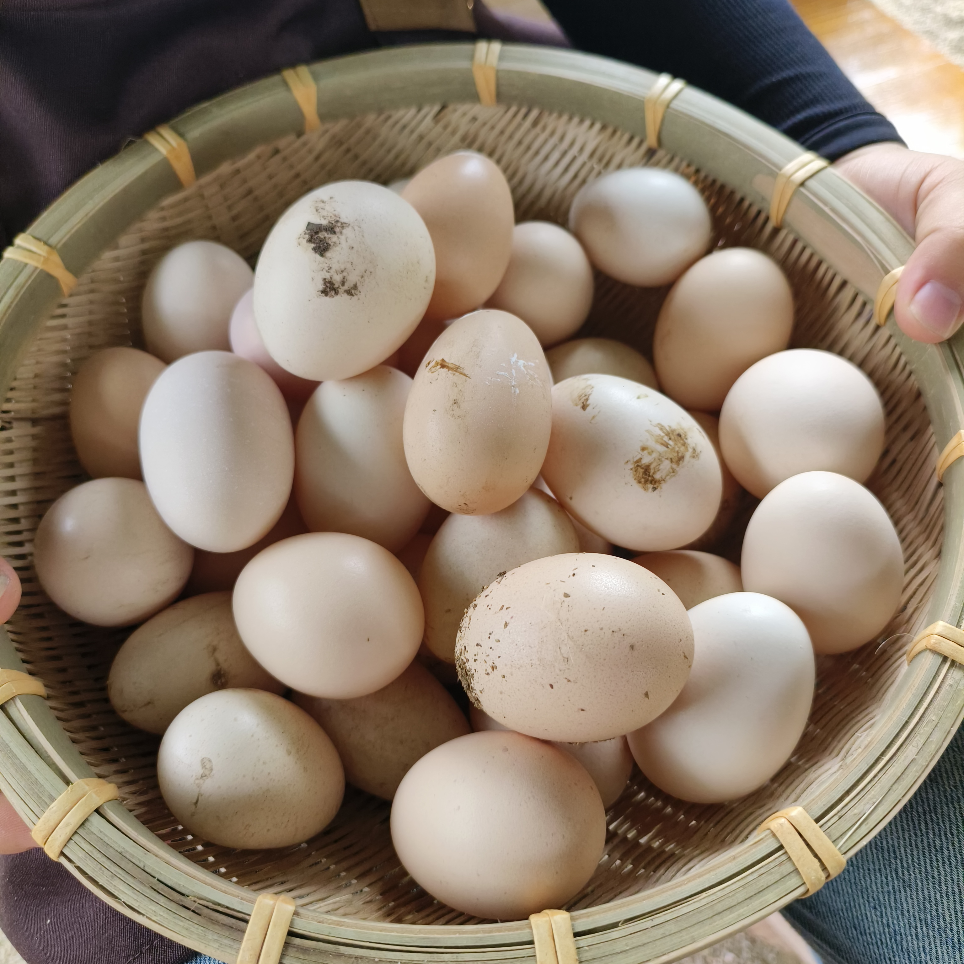 【天莱食品】自家鸡场现捡农家土鸡蛋新鲜儿童孕妇营养蛋，个头较小