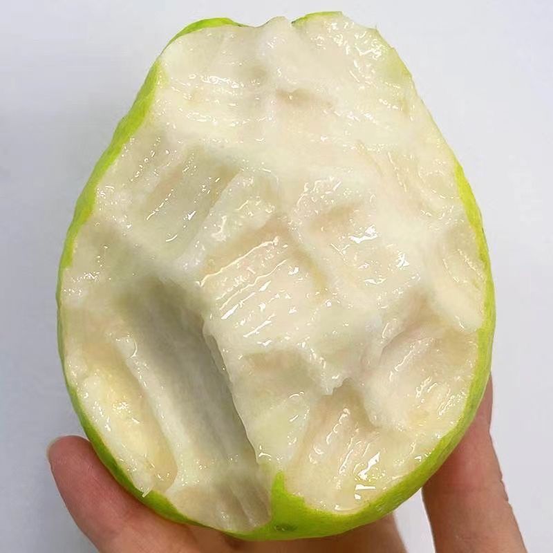 奶油视频芭乐翻石榴苗红心芭乐番石榴苗红宝石番石榴苗当年可结果