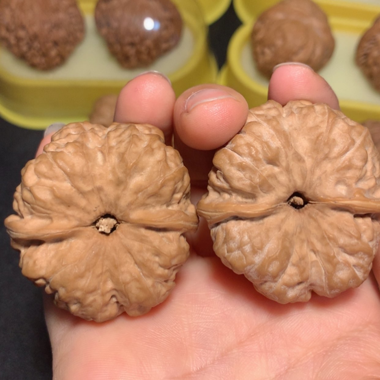 【闪购商品】蛤蟆41/44核雕大**