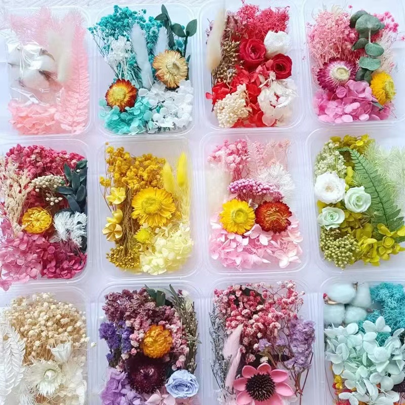 【主播】永生花手工材料包天然干花DIY材料