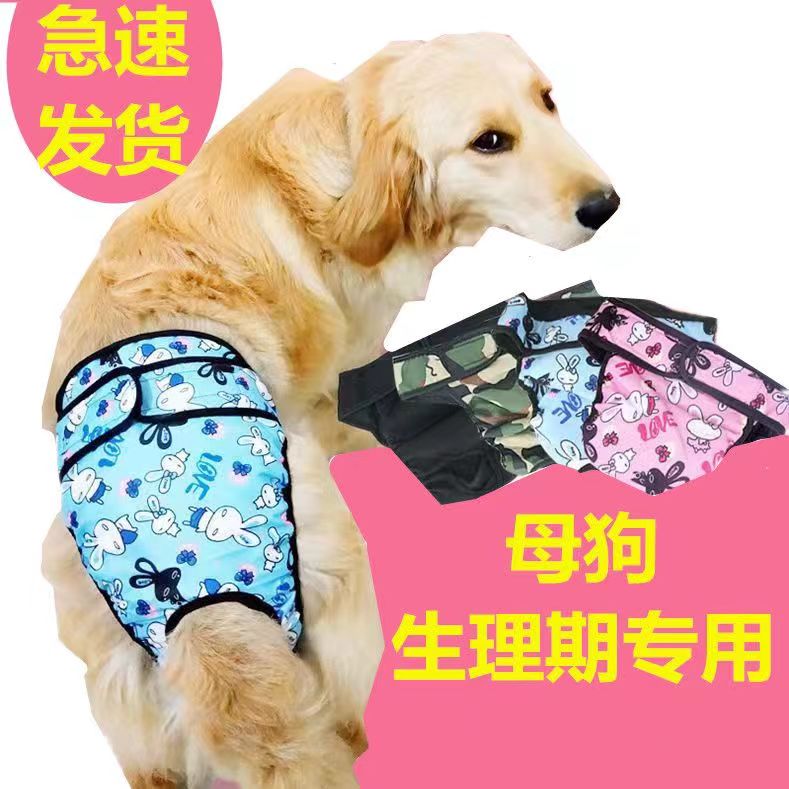 母狗狗生理裤安全卫生裤月经安全裤防骚扰防交配宠物内裤姨妈裤女