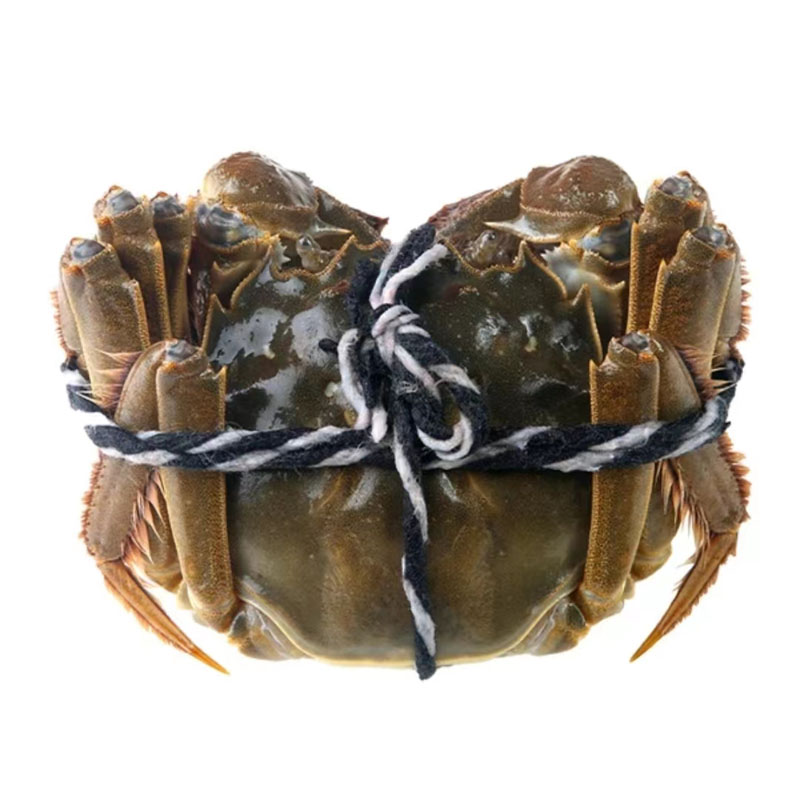 大闸蟹残蟹公母搭配2.6-4.5规格3斤