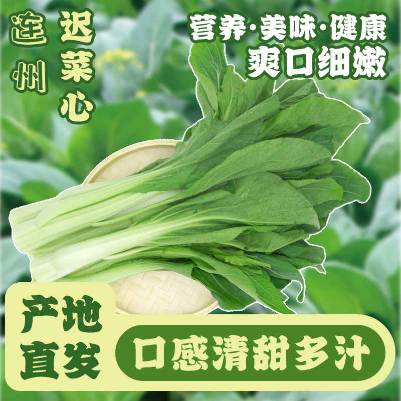【京东快递】爱健康土特产广东连州迟菜心5斤/8斤当季现摘清甜蔬菜